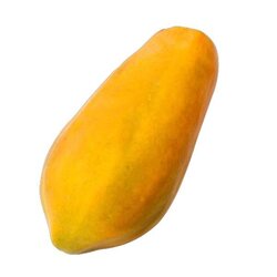 PAPAYA