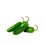 CHILE JALAPEÑO