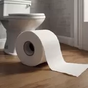 PAPEL HIGIENICO