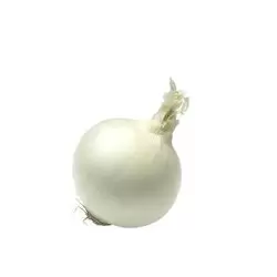 CEBOLLA