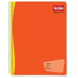 LIBRETA PROFESIONAL SCRIBE 1 RAYA 100 HOJAS
