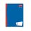 LIBRETA PROFESIONAL SCRIBE 1 RAYA 100 HOJAS