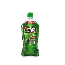 LAVATRASTES CITREX 450 ML