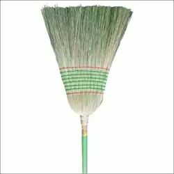 ESCOBA PEÑOLERA