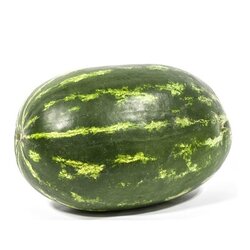 SANDIA RAYADA