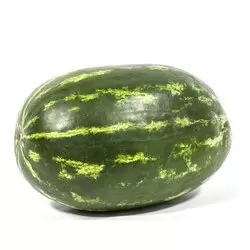 SANDIA RAYADA