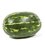 SANDIA RAYADA