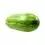 SANDIA RAYADA