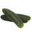 PEPINO