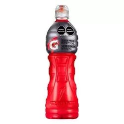 GATORADE 1 LITRO PONCHE