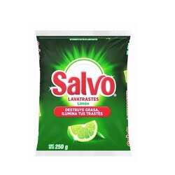 LAVATRASTES POLVO SALVO 250 GR