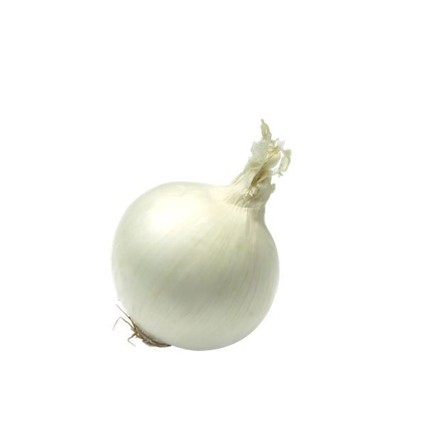 CEBOLLA