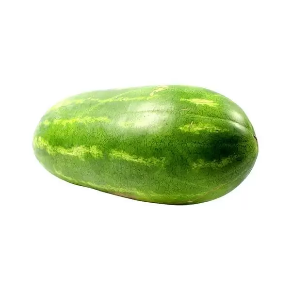 SANDIA RAYADA