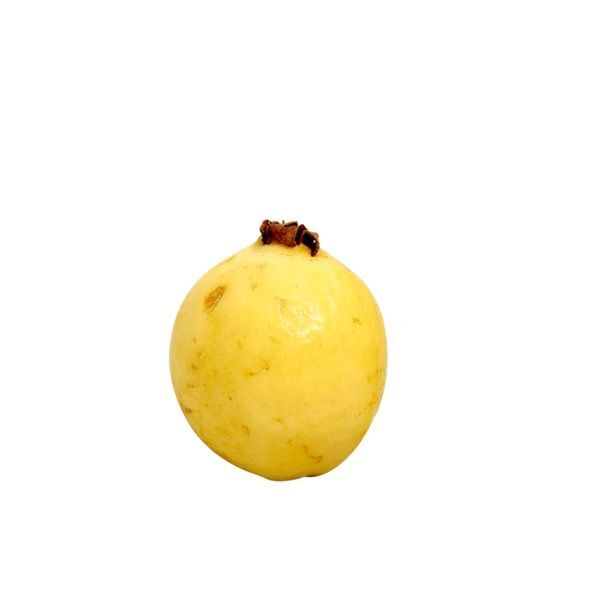 GUAYABA